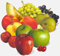 Noticias de frutihorticola frutihorticola