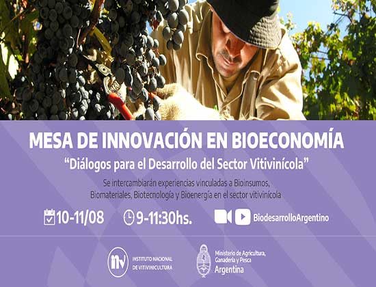 El INV y la Dirección Nacional de Bioeconomía organizan la Mesa de Innovación sobre biodesarrollos en el sector vitivinícola
