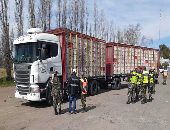 Capacitación en ruta a efectivos de la policía bonaerense durante controles a transportes
