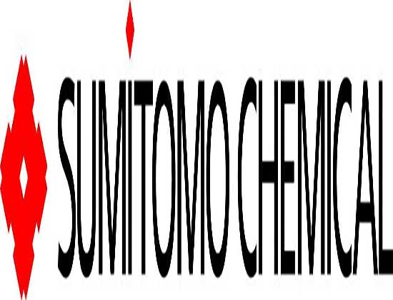 Al finalizar la siembra de Trigo, hay que prevenir enfermedades