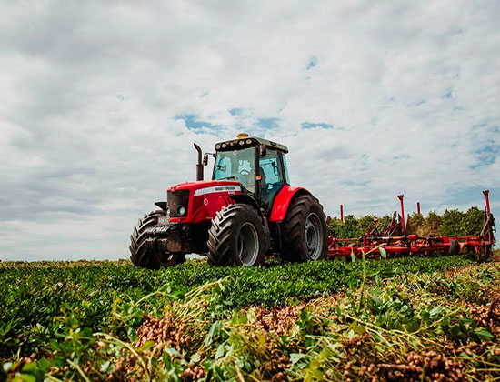 Prensa CAM. El Instituto Argentino del Maní puso foco en el desarrollo tecnológico del cultivo