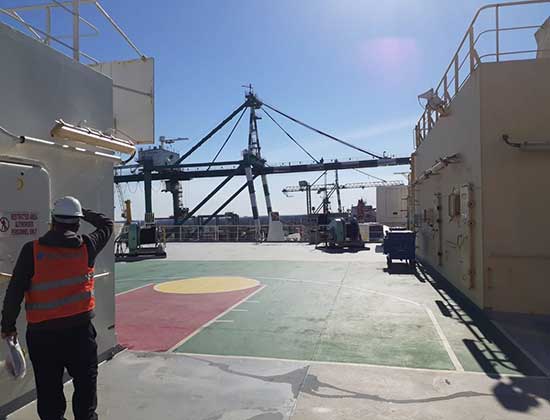El Senasa acompaña a los agentes que verifican productos vegetales en el puerto de Zárate