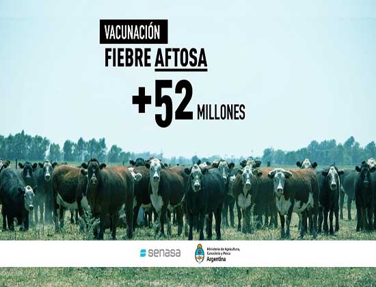 Más de 52 millones de bovinos vacunados contra la aftosa en la primera campaña 2021