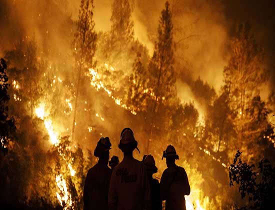 Incendios, una problemática recurrente y global
