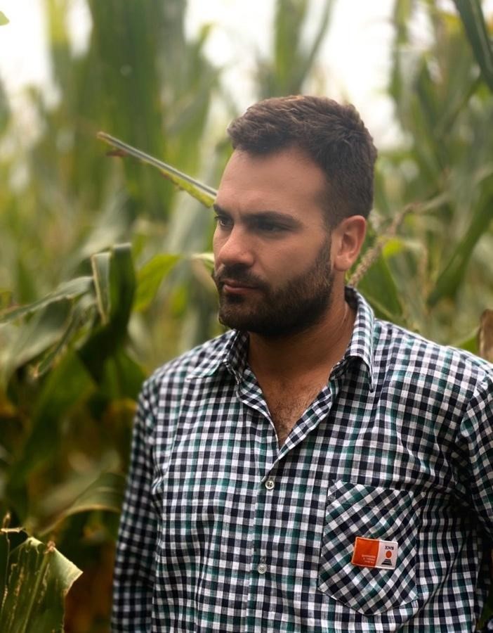 Prensa KWS. Año Niña y maíz tardío: los aprendizajes para asegurar el rendimiento