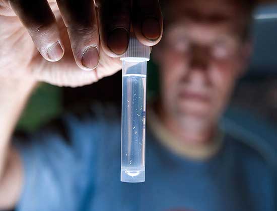 Innovadores de proteínas se reunirán en una competencia virtual para concursar por U$S 1.25 millones en el