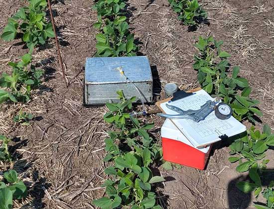 Cultivos de servicio para mitigar emisiones de gases de efecto invernadero