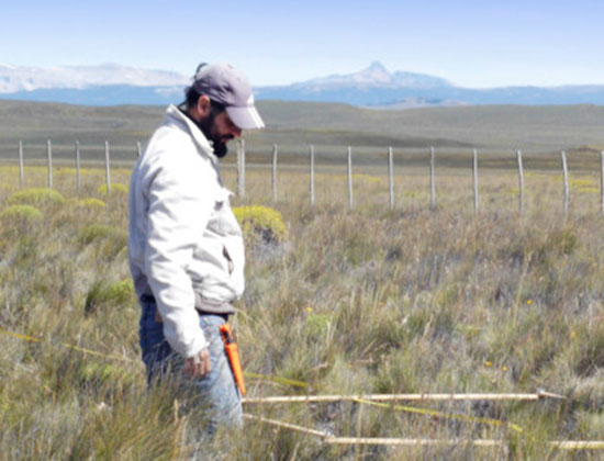 Proponen una forma de anticiparse a la degradación en Patagonia