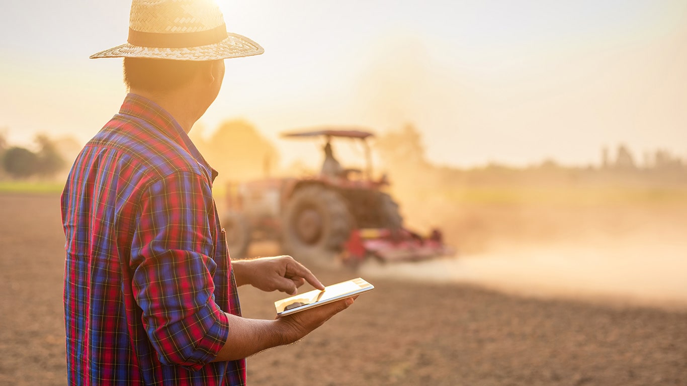 Proponen herramientas digitales para potenciar el cultivo de batata
