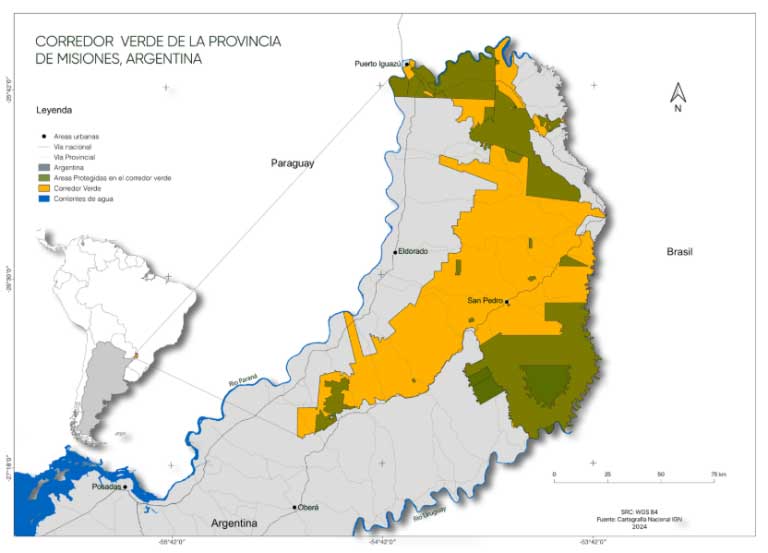 Desmonte sin pausa en Misiones: Bosques más chicos y fragmentados
