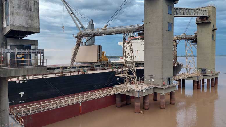 Europa exigir soja libre de deforestacin: Cunto podramos perder y cunto sale adaptarse?